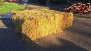 2024 Barley Straw - (Norfolk)