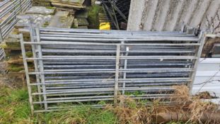 6ft Sheep Hurdles - (Norfolk)