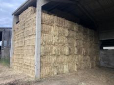 2024 Hay - (Norfolk)