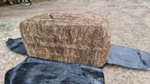 2024 Silage - (Bedfordshire)