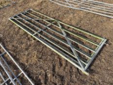 Pair galvanised gates 10ft