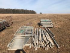 Galvanised sheep race system with posts, gates, pen sections and race gate