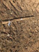 Quantity garden canes