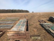 Metal sheep race with shedding gate