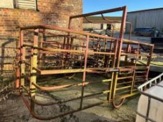 Calf Catcher - (Norfolk)