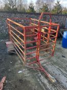 Calf Catcher - (Norfolk)