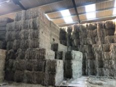 2024 Hay - (Buckinghamshire)