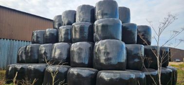 2024 Haylage - (Norfolk)