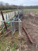 Mobile Sheep Race - (Buckinghamshire)