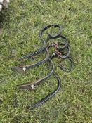 4No spring tine points