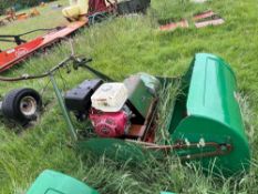 Ransomes push gang mower with Honda 36 inch mastif engine (Buckinghamshire) (No VAT)