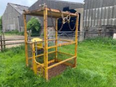 750kg man cage with pallet tine brackets (Buckinghamshire) (No VAT)