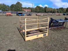 Man basket with pallet tine attachments
