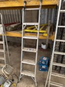 Set aluminium extending ladder/steps