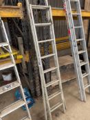 Set aluminium extending ladder/steps