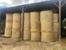 2025 Winter Oat Straw - (Rutland)