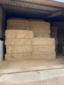 2025 Barley Straw (50 Bales) - (Norfolk)