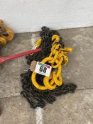 4No leg lifting chain