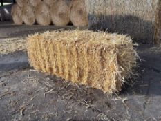 100No conventional barley straw bales.  To be sold on per bale basis. NO VAT