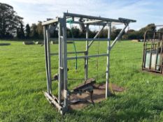 WOPA foot trimming crush