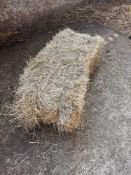 100No 2024 conventional bales.  To be sold on per bale basis. NO VAT