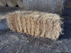 100No conventional barley straw bales.  To be sold on per bale basis. NO VAT