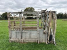 IAE cattle crush with super scoop MK3