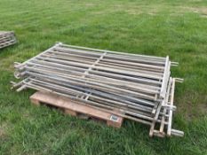 11No 6ft metal sheep hurdles