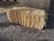 100No conventional barley straw bales.  To be sold on per bale basis. NO VAT