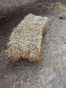 100No 2024 conventional hay bales.  To be sold on per bale basis. NO VAT