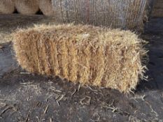 100No conventional barley straw bales.  To be sold on per bale basis. NO VAT