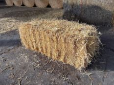 100No conventional barley straw bales.  To be sold on per bale basis. NO VAT