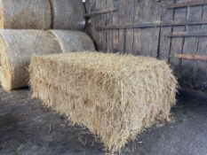 100No 2025 square wheat straw bales 120 x 90.  To be sold on per bale basis. NO VAT