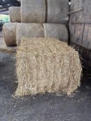 100No 2025 square wheat straw bales 120 x 90.  To be sold on per bale basis.  NO VAT