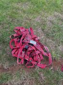 6No Mating Mark raddles