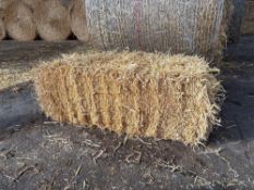 100No conventional barley straw bales.  To be sold on per bale basis. NO VAT