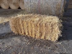100No conventional barley straw bales.  To be sold on per bale basis. NO VAT