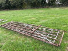 Quantity metal gates