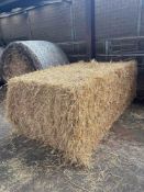 70No 2024 square wheat straw bales 120 x 90.  To be sold on per bale basis. NO VAT