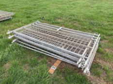 10No 6ft metal sheep hurdles with mesh