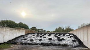 Approximately 550 tonne grass silage in clamp.13.1m width x 20.7m length