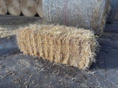 100No conventional barley straw bales.  To be sold on per bale basis. NO VAT