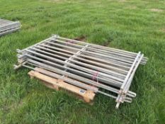 10No 6ft metal sheep hurdles