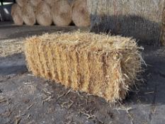 100No conventional barley straw bales.  To be sold on per bale basis. NO VAT