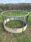 1No sheep ring feeder