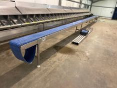 50ft sectional conveyor