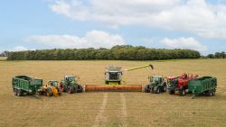 Sale by Auction - Mautby Farms Ltd