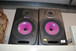 A pair of Circle 5 speakers
