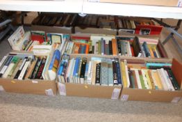 A large collection of miscellaneous novels to incl