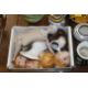 A collection of various pottery to include Cabbage Leaf dishes and bowls, a 'Fiesta USA' jug and a - Image 5 of 7